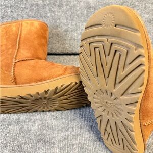 Chestnut UGGs